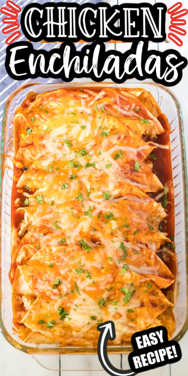 Easy Chicken Enchiladas